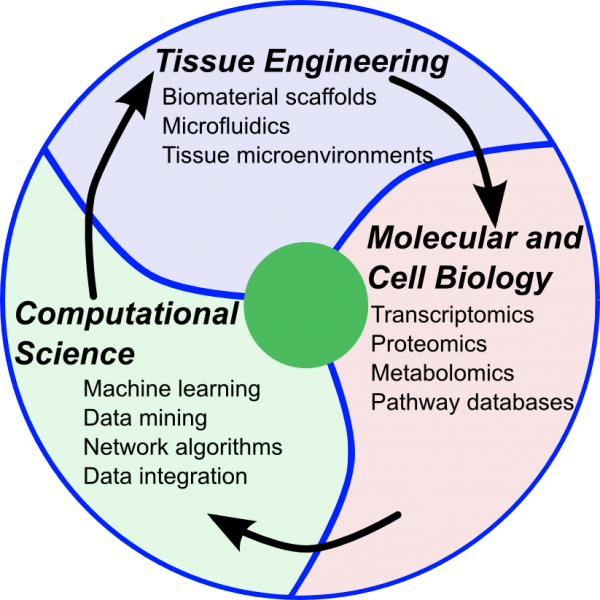 CTE integrates computational science, tissue engineering, and systems biology.